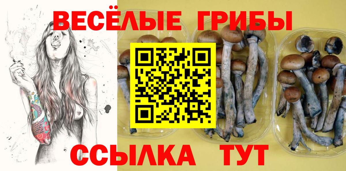 Псилоцибиновые грибы ЛСД  Галлюциногенные грибы Cubensis  купить наркотики цена  Вход с VPN  Новокузнецк 