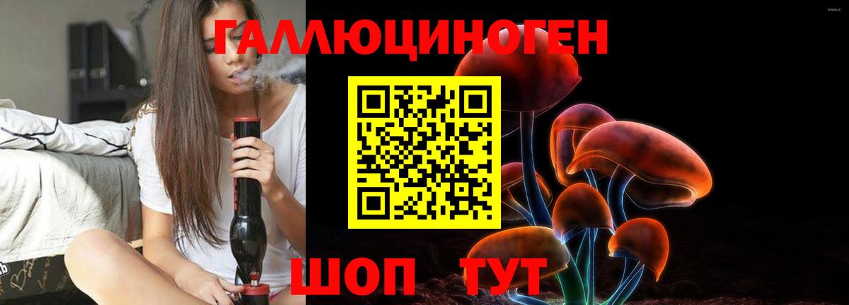 Галлюциногенные грибы Cubensis Новокузнецк